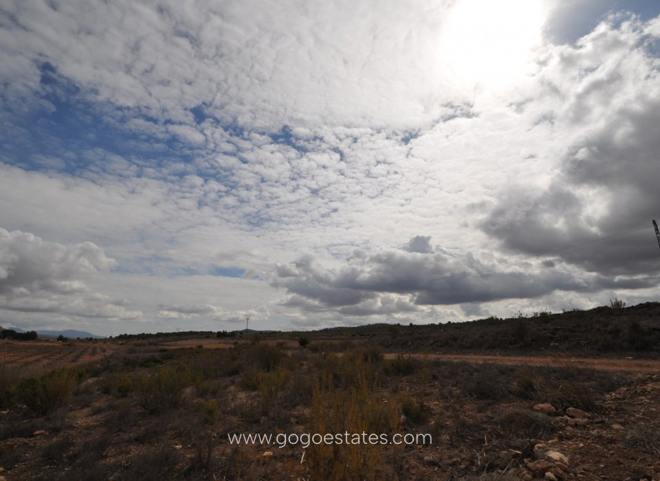 Te koop - Perceel - Land - Pinoso - Pinoso Centro