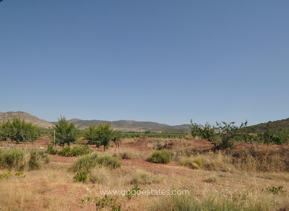 Te koop - Perceel - Land - Pinoso - Pinoso Centro