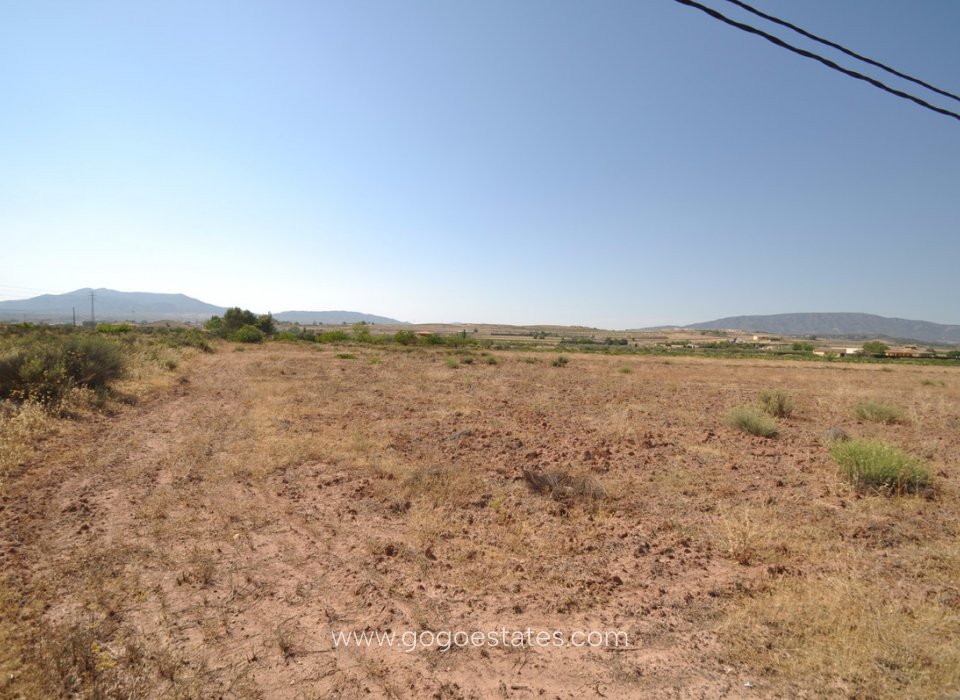 Te koop - Perceel - Land - Pinoso - Pinoso Centro