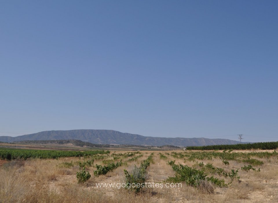 Te koop - Perceel - Land - Pinoso - Pinoso Centro