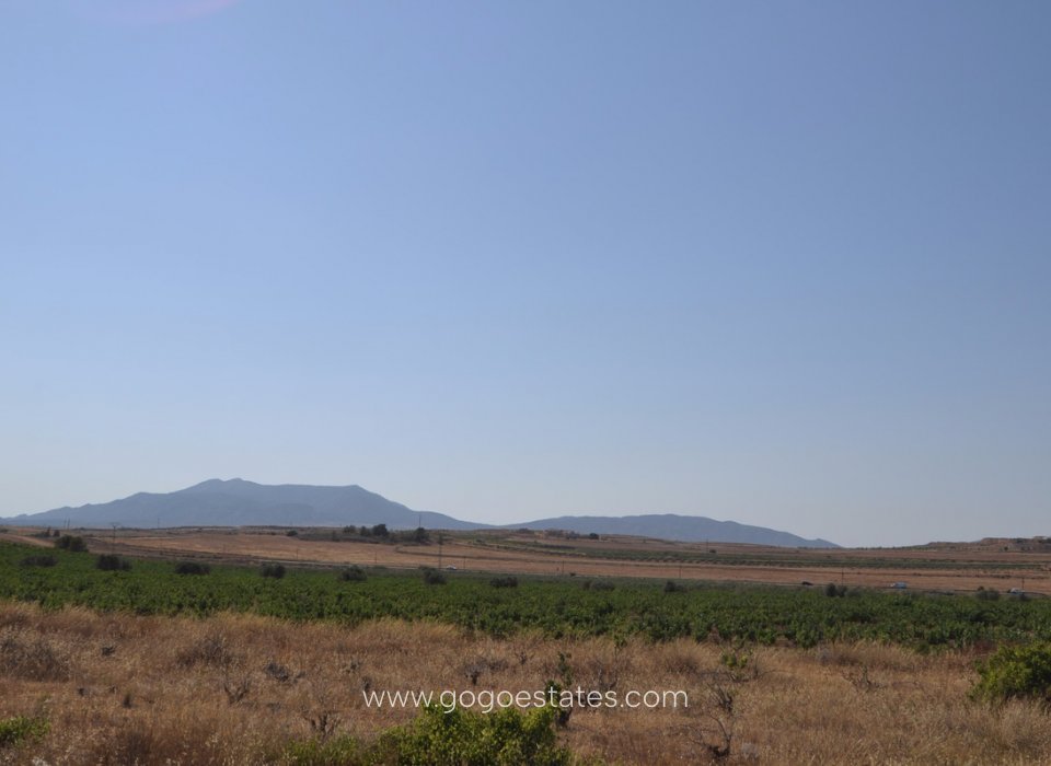 Te koop - Perceel - Land - Pinoso - Pinoso Centro