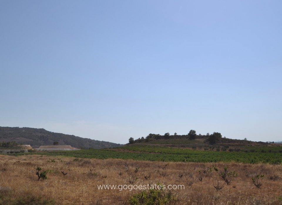 Te koop - Perceel - Land - Pinoso - Pinoso Centro