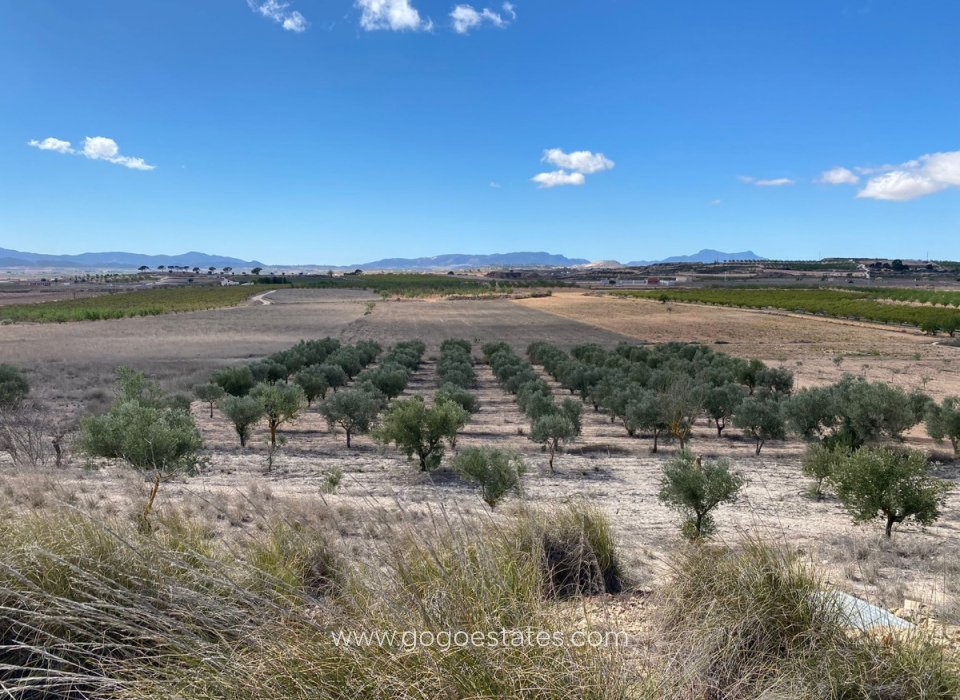 Te koop - Perceel - Land - Pinoso - Pinoso Centro