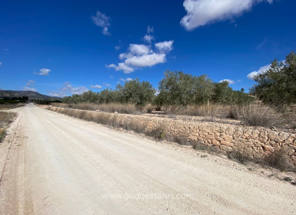 Te koop - Perceel - Land - Pinoso - Pinoso Centro