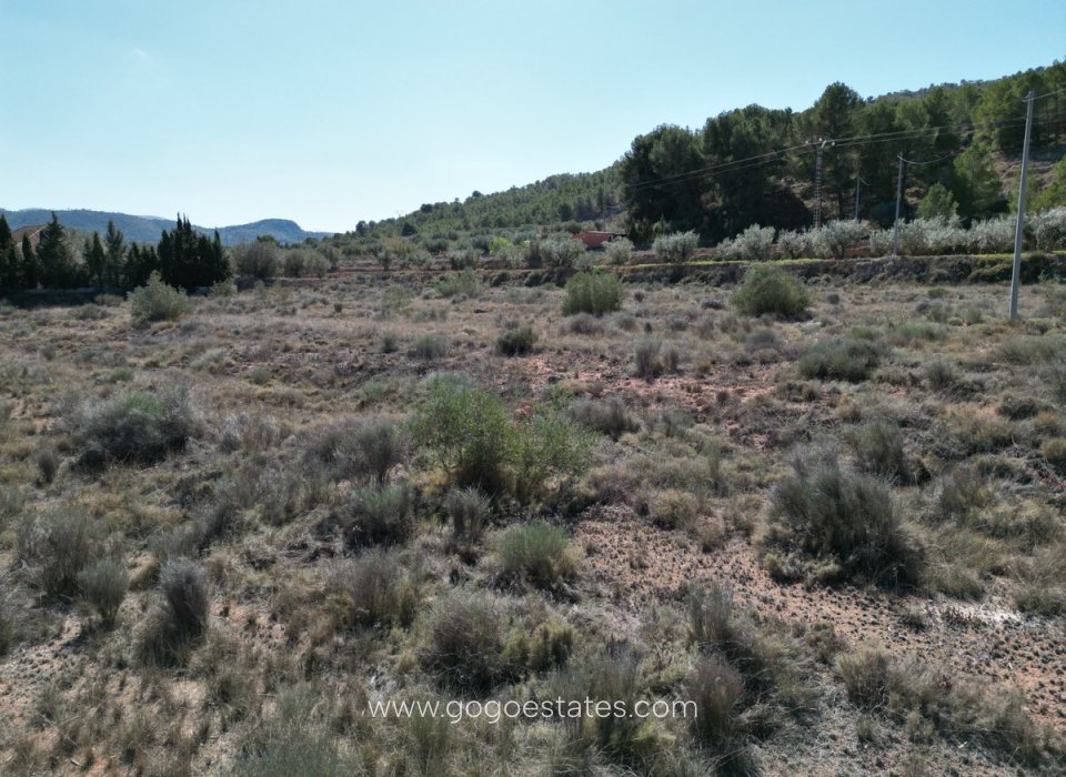 Te koop - Perceel - Land - Pinoso - Pinoso Centro