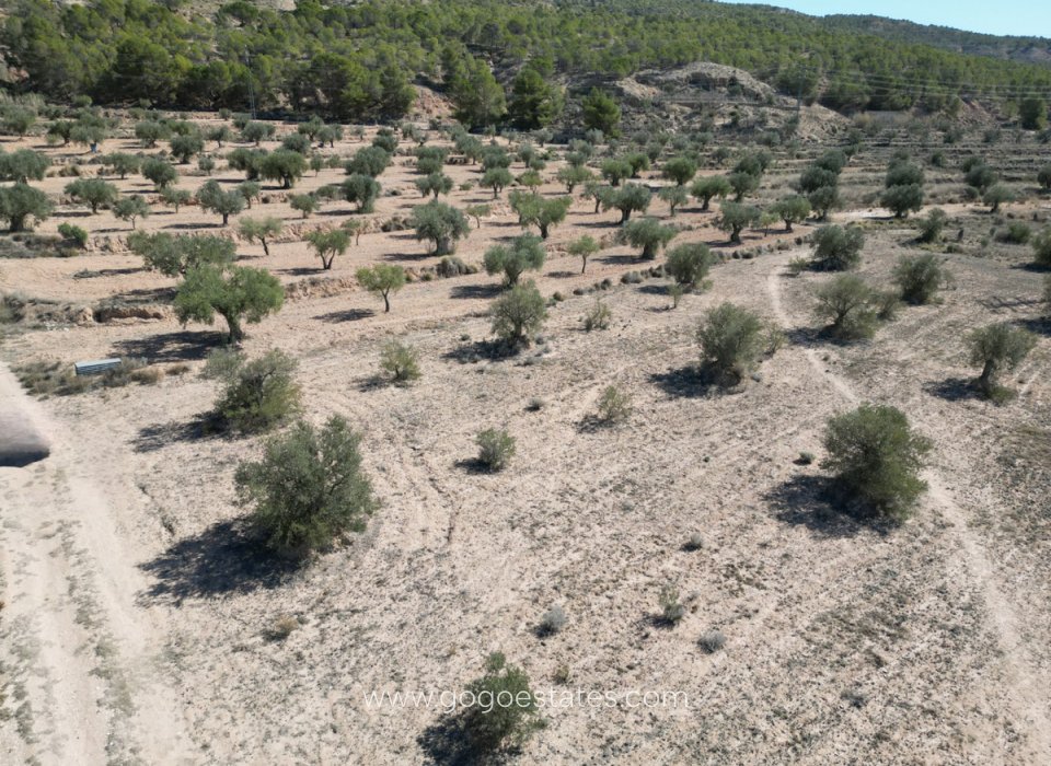 Te koop - Perceel - Land - Pinoso - Pinoso Centro