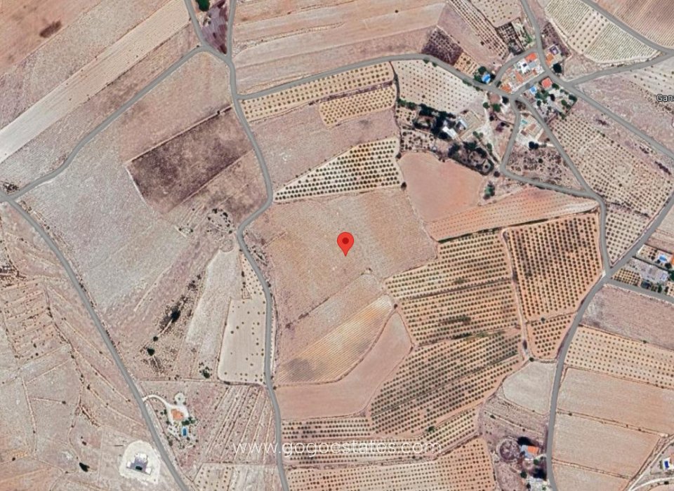 Te koop - Perceel - Land - Pinoso - Pinoso Centro