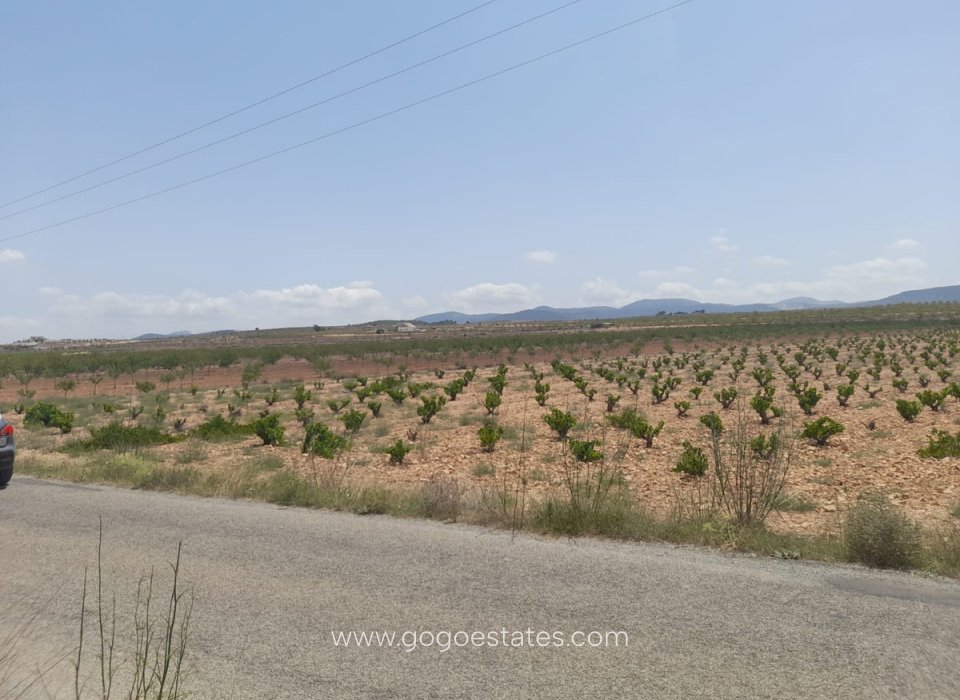 Te koop - Perceel - Land - Pinoso - Pinoso Centro