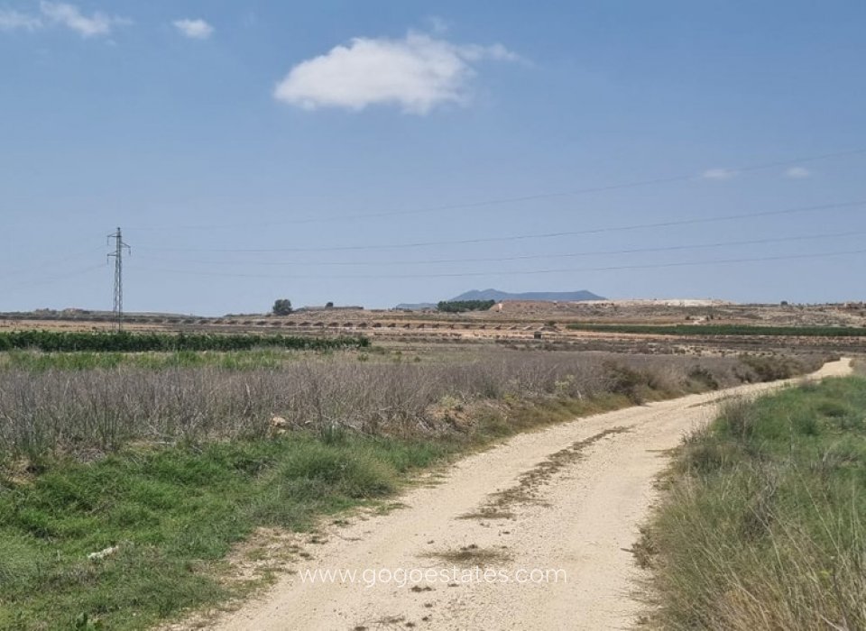 Te koop - Perceel - Land - Pinoso - Pinoso Centro