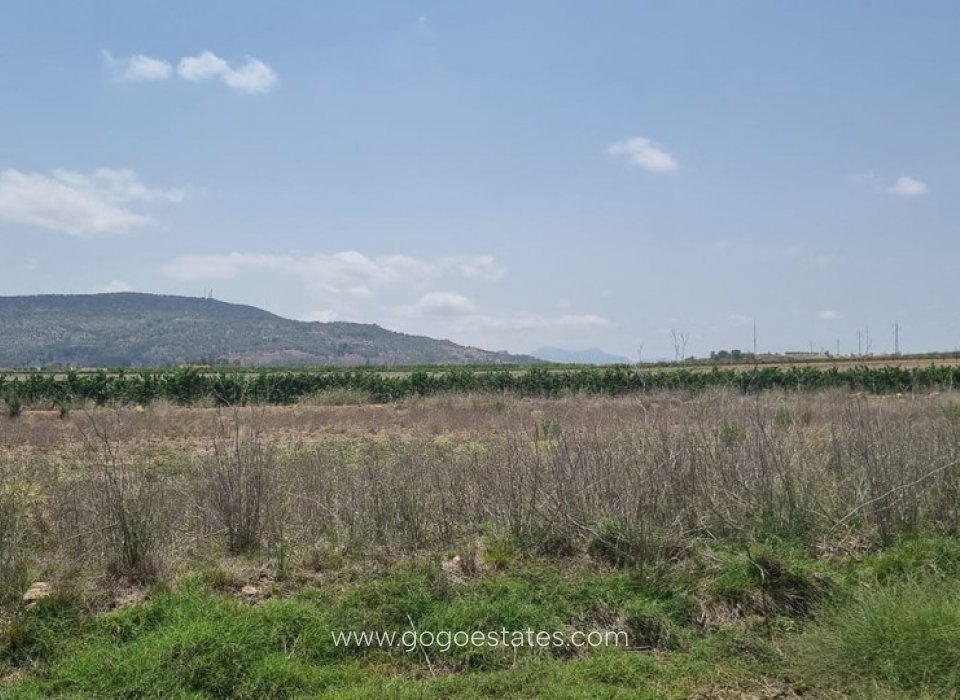 Te koop - Perceel - Land - Pinoso - Pinoso Centro