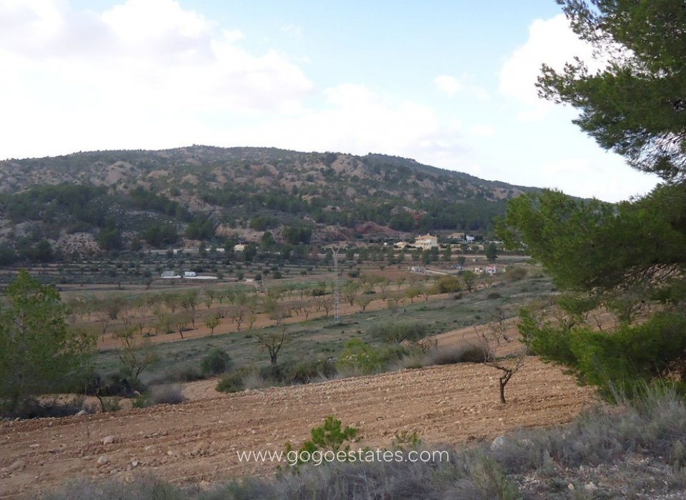 Te koop - Perceel - Land - Pinoso - Pinoso Centro