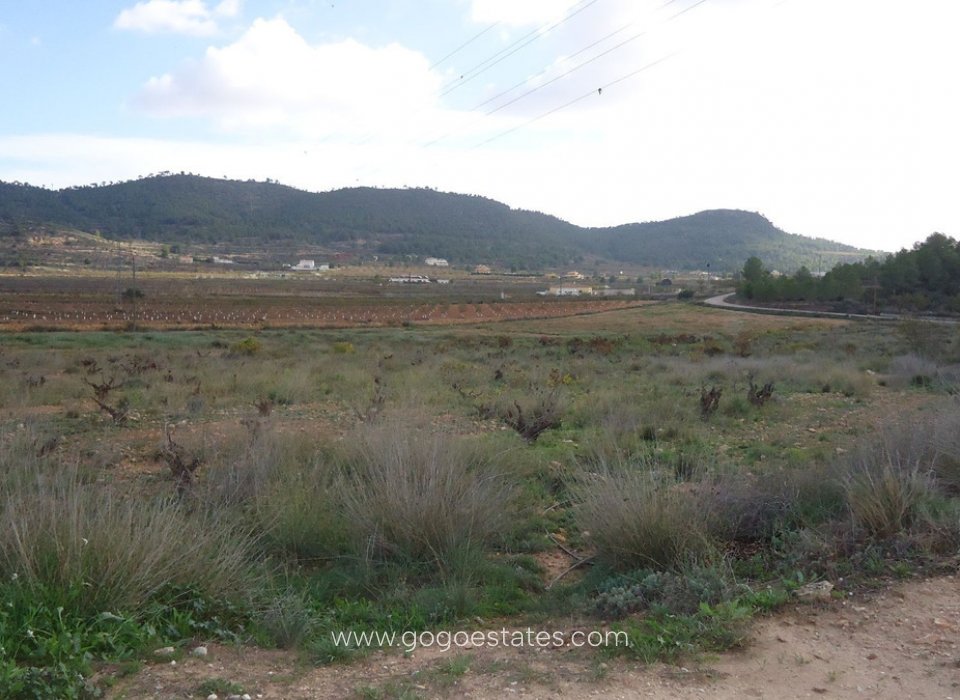 Te koop - Perceel - Land - Pinoso - Pinoso Centro