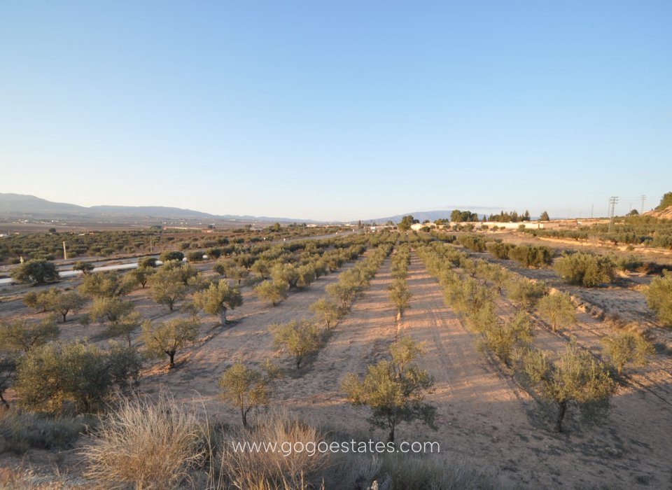 Te koop - Perceel - Land - Pinoso - Pinoso Centro