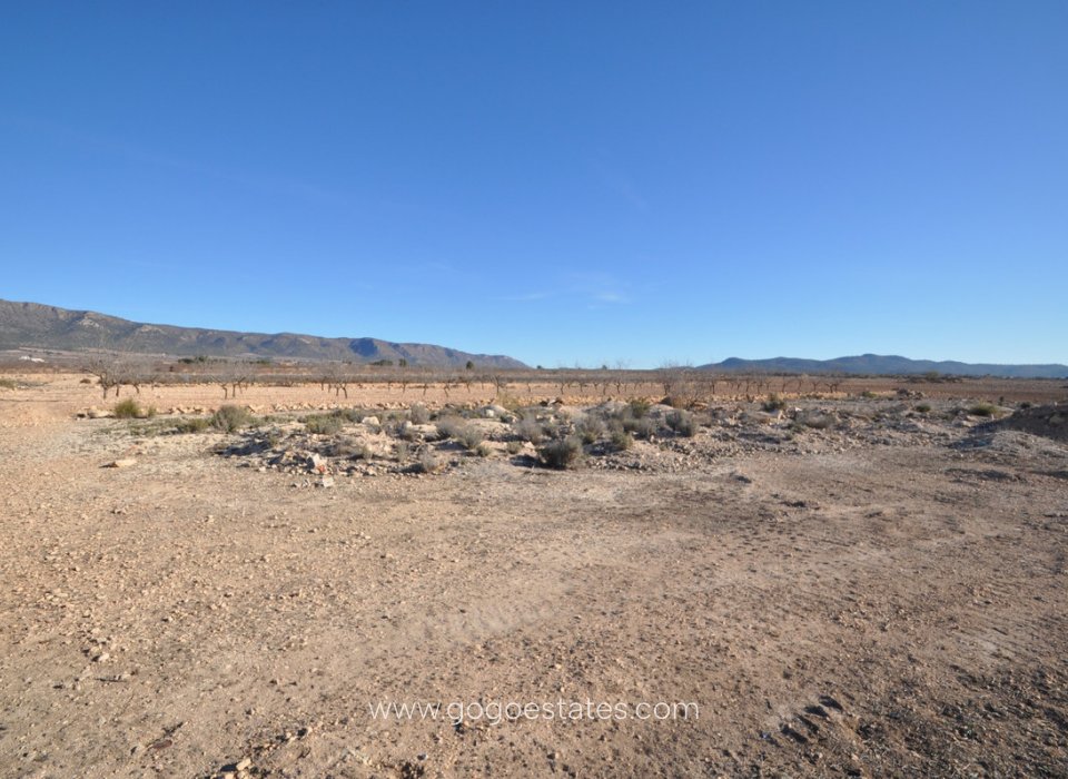 Te koop - Perceel - Land - Pinoso - Pinoso Centro