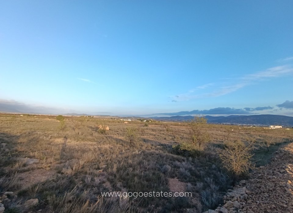 Te koop - Perceel - Land - Pinoso - Pinoso Centro