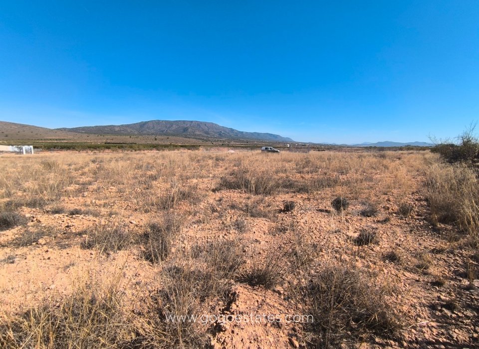 Te koop - Perceel - Land - Pinoso - Pinoso Centro