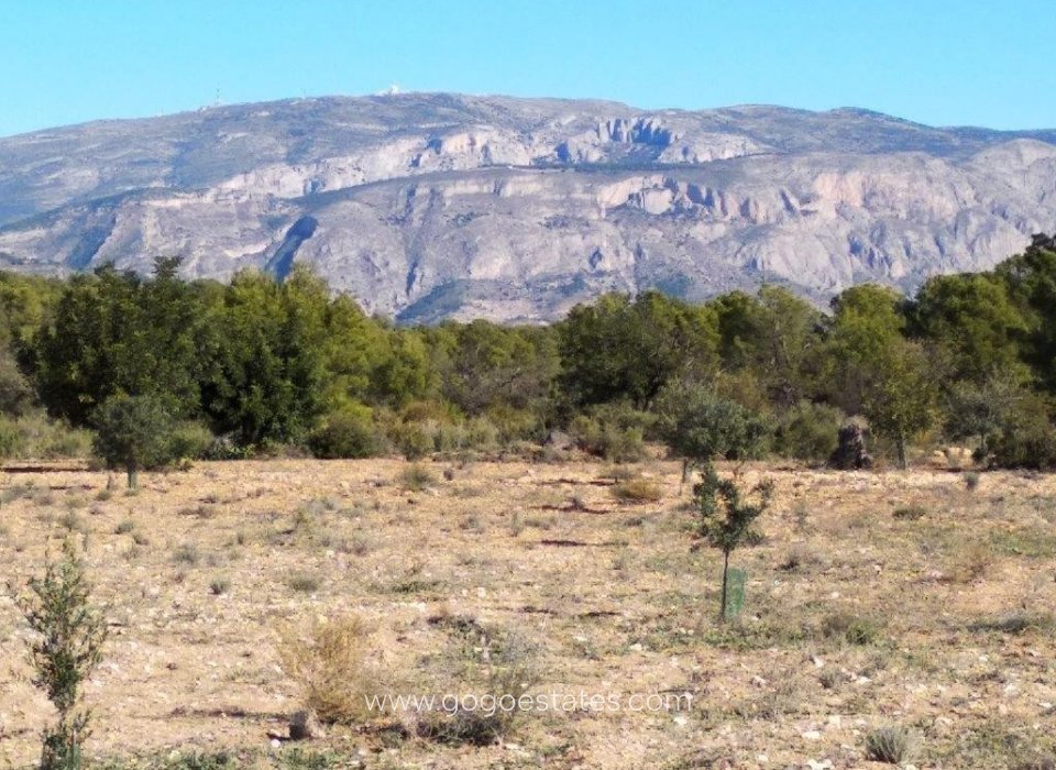 Te koop - Perceel - Land - Relleu - Relleu Centro