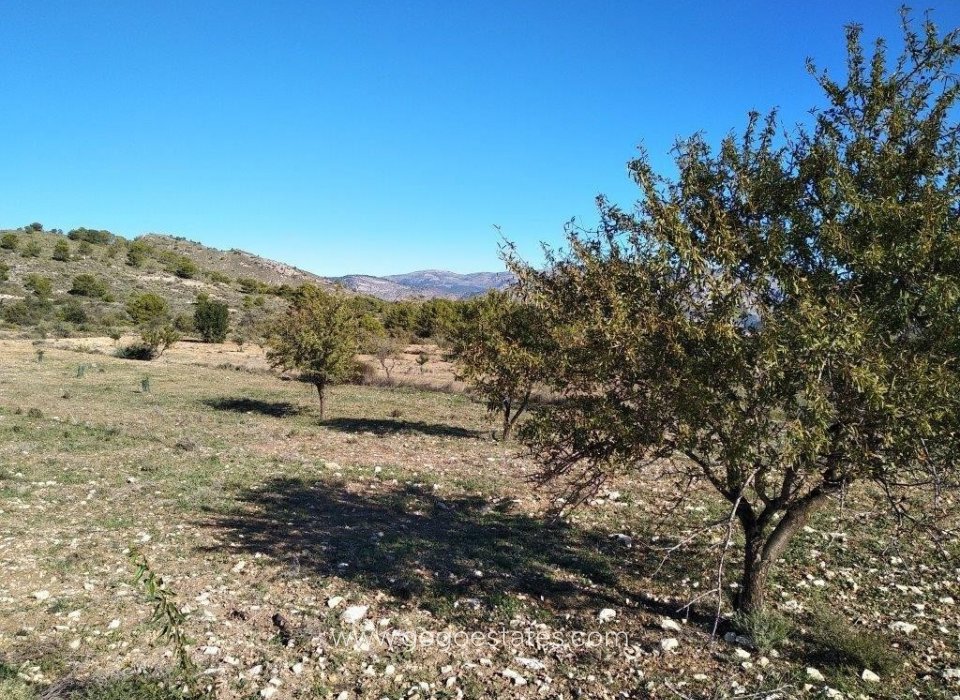 Te koop - Perceel - Land - Relleu - Relleu Centro