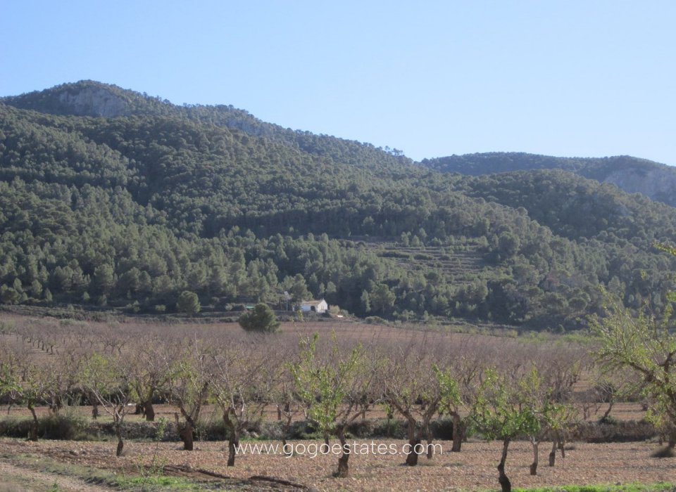 Te koop - Perceel - Land - Villena - Villena Centro