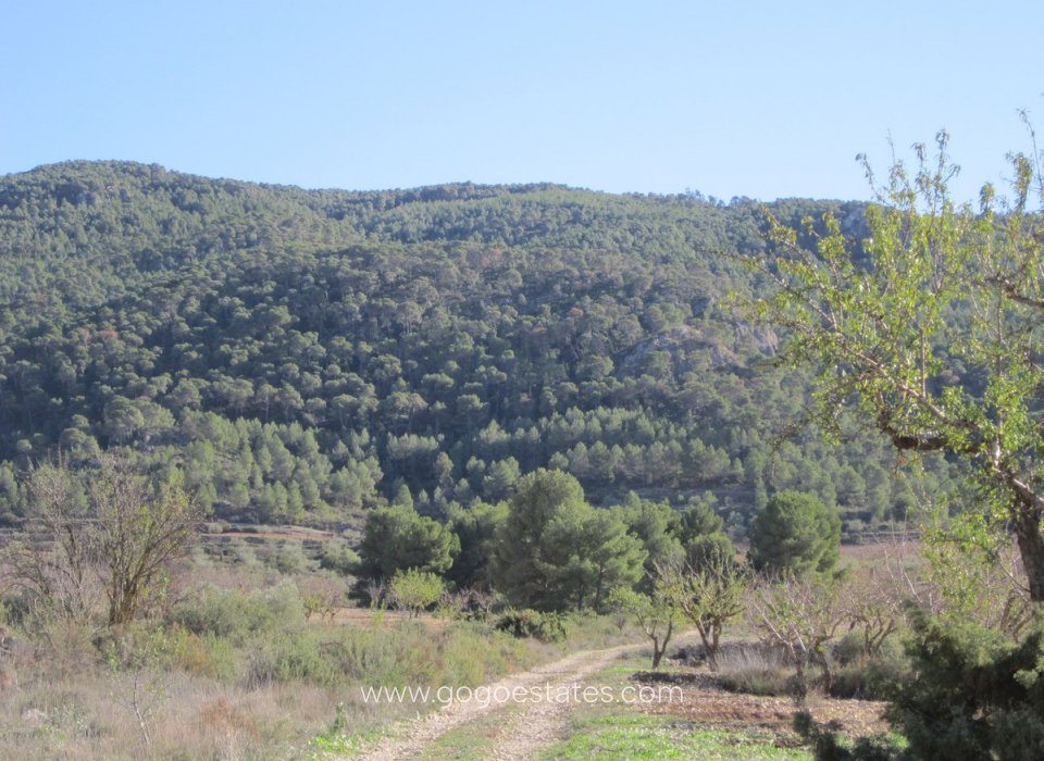 Te koop - Perceel - Land - Villena - Villena Centro