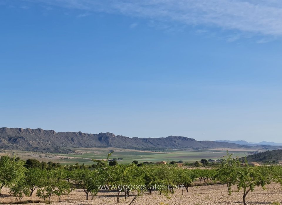 Te koop - Perceel - Land - Yecla - Raspay