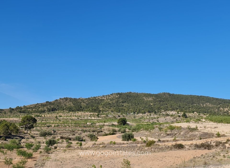 Te koop - Perceel - Land - Yecla - Raspay