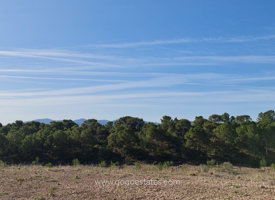 Te koop - Perceel - Land - Yecla - Raspay