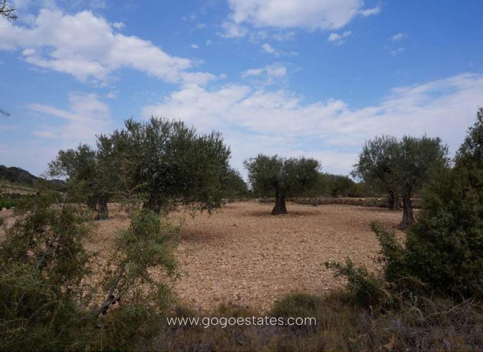 Te koop - Perceel - Land - Yecla - Yecla Centro