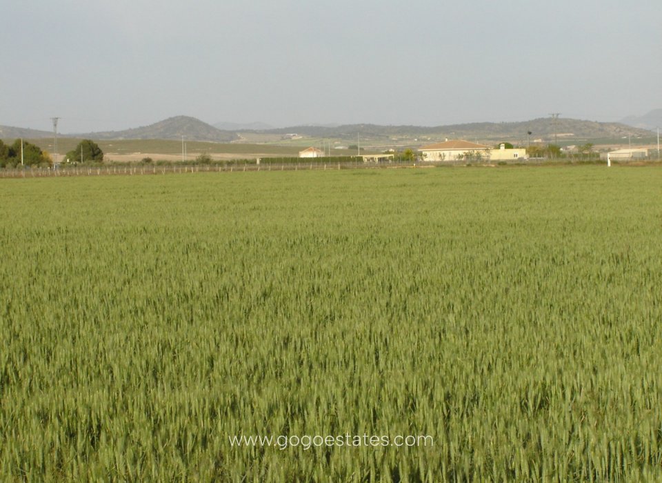 Te koop - Perceel - Land - Yecla - Yecla Centro