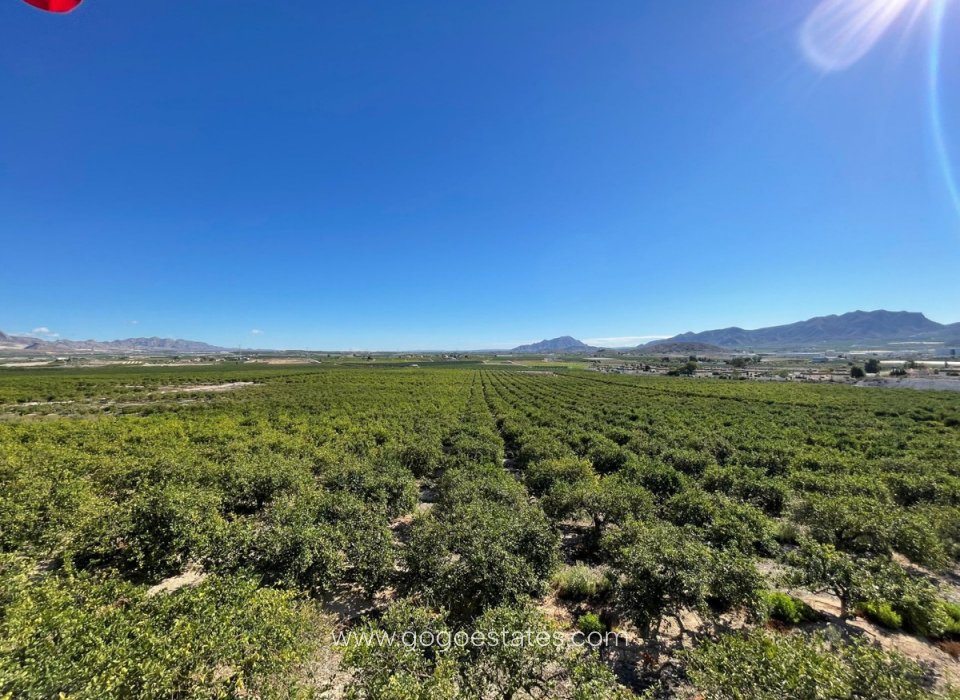 Te koop - Villa - Ponteareas - San mateo de oliveira