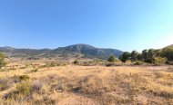 Terrain - Terrain - Revente - Algorfa - RSO-83949