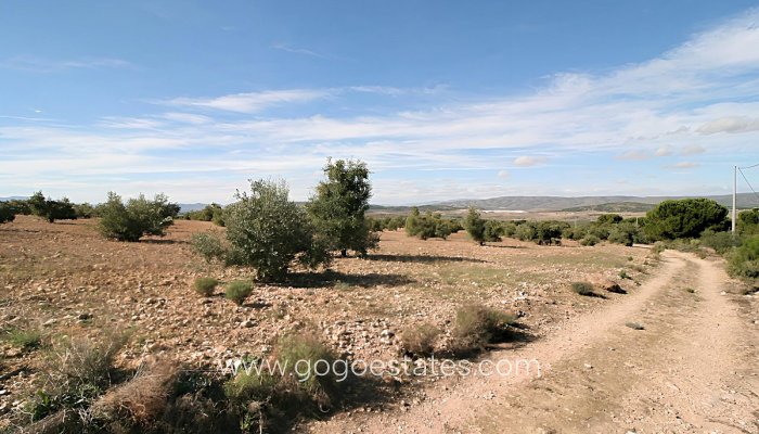 Terrain - Terrain - Revente - Biar - Biar Centro