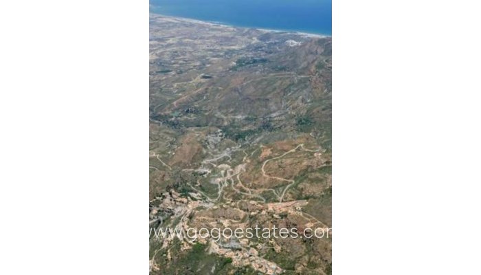 Terrain - Terrain - Revente - Cabrera - Cabrera