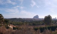 Terrain - Terrain - Revente - Calpe - RSO-19517
