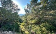 Terrain - Terrain - Revente - Calpe - RSO-37612