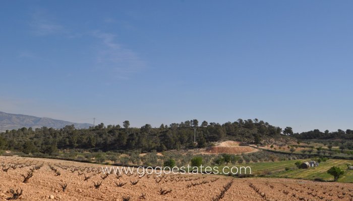 Terrain - Terrain - Revente - Jumilla - La Zarza