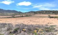 Terrain - Terrain - Revente - Jumilla - RSO-85008