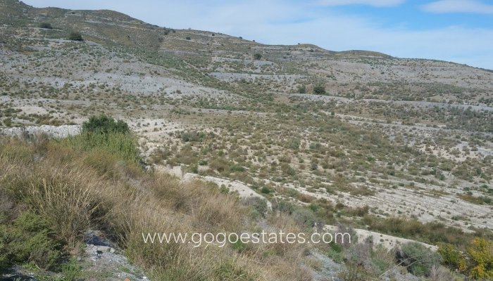 Terrain - Terrain - Revente - Lorca - Lorca Centro