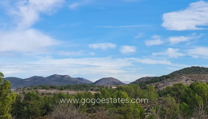 Terrain - Terrain - Revente - Monóvar - Monòver - Monóvar - Monòver Centro