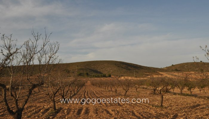 Terrain - Terrain - Revente - Murcia - Abanilla Centro
