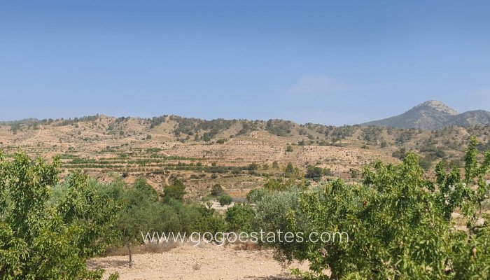 Terrain - Terrain - Revente - Murcia - Abanilla Centro