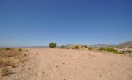 Terrain - Terrain - Revente - Murcia - RSO-27518