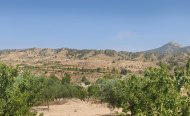Terrain - Terrain - Revente - Murcia - RSO-77925
