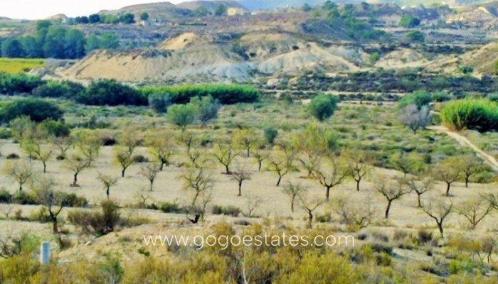 Terrain - Terrain - Revente - Orihuela - Torremendo
