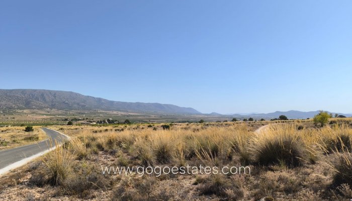 Terrain - Terrain - Revente - Pinoso - Aspe