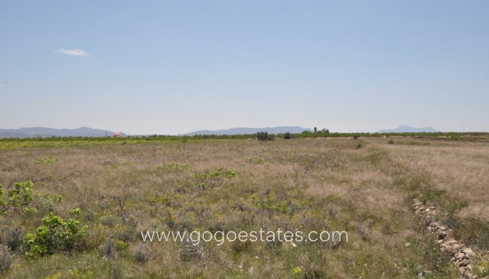 Terrain - Terrain - Revente - Pinoso - Pinoso Centro