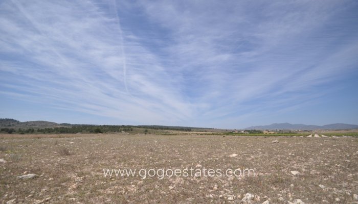 Terrain - Terrain - Revente - Pinoso - Pinoso Centro