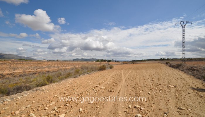 Terrain - Terrain - Revente - Pinoso - Pinoso Centro