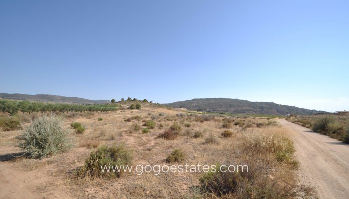 Terrain - Terrain - Revente - Pinoso - Pinoso Centro