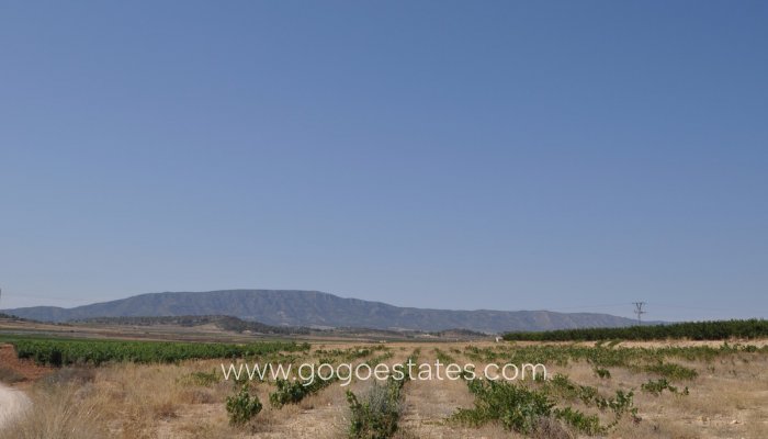 Terrain - Terrain - Revente - Pinoso - Pinoso Centro